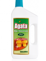 Agata Myje i konserwuje