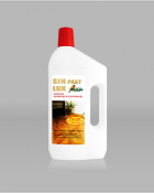 SIN PAST LUX